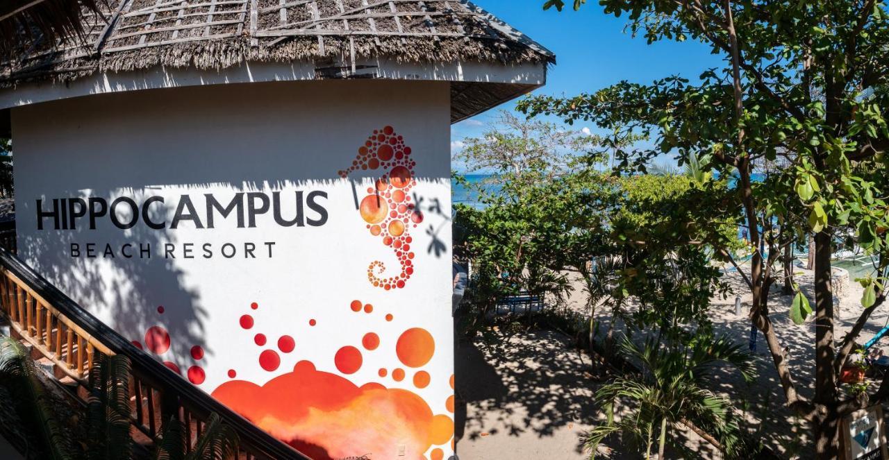 Hippocampus Beach Resort Malapascua Extérieur photo